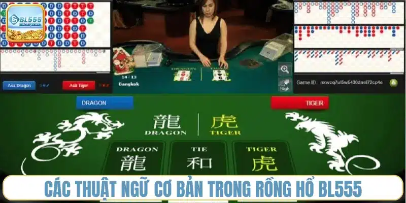 thuat-ngu-co-ban-trong-rong-ho-bl555.webp