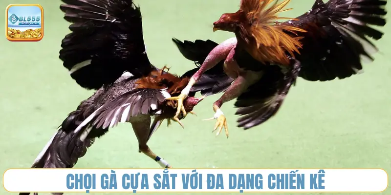 choi-ga-cua-sat-bl555